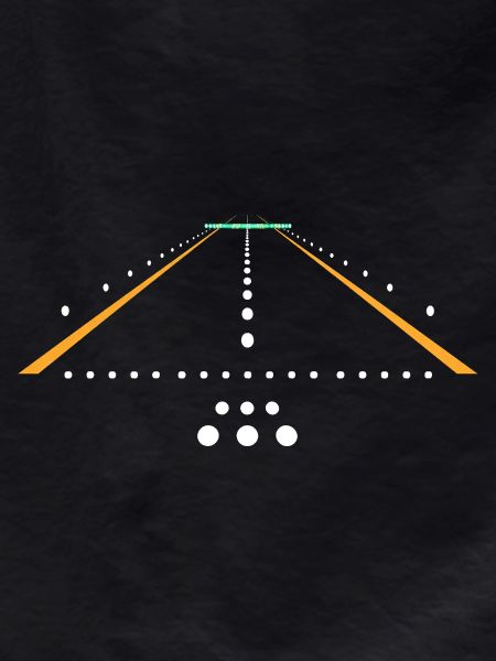 Airplane Flight Pilot Airplane Airline