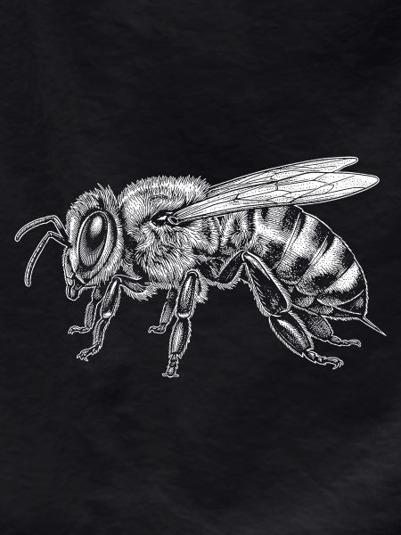 honeybee
