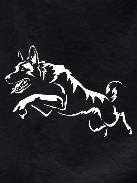Malinois « Édition Noire »