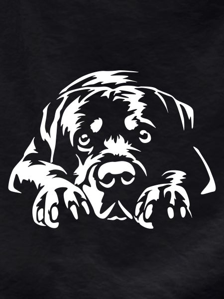 Rottweiler "Black Edition"