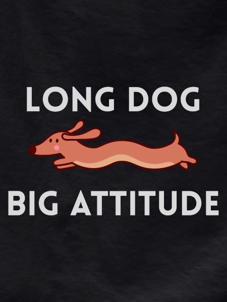 Long Dog Big Attitude Dachshund