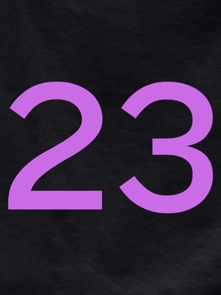 23