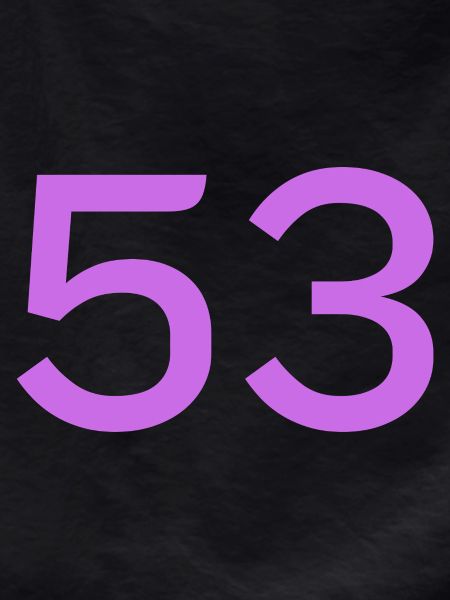53