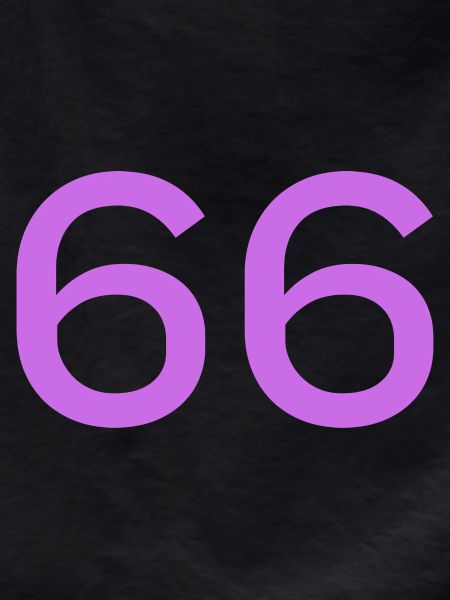66