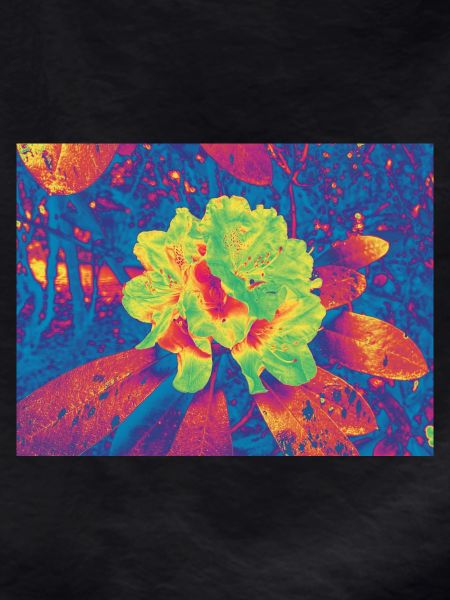Neon Bloom Psychedelic Flower