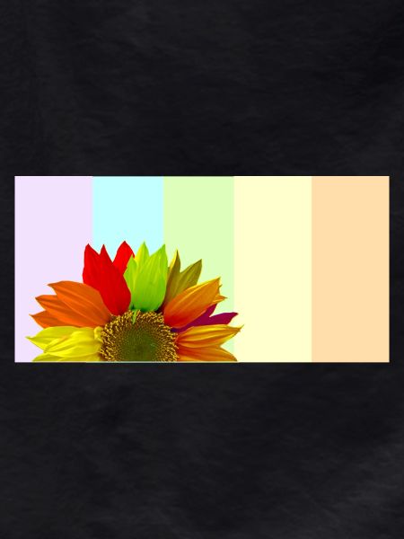 Bunte Regenbogen-Sonnenblume – Pastellstreifen-Aesthet