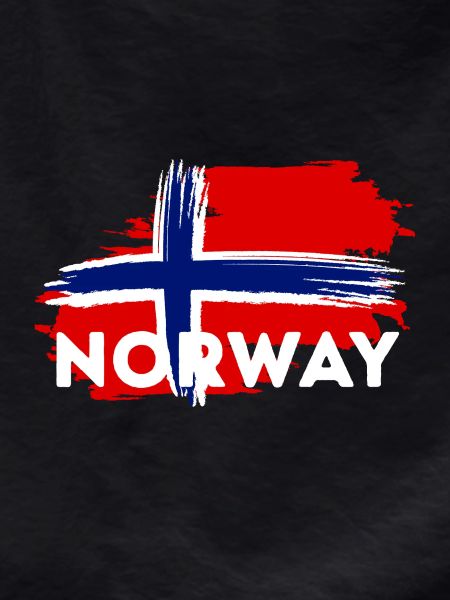 Norway Flag Brushstroke Theme