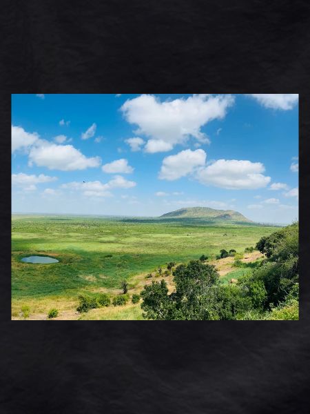 Steppe landscape with a lake