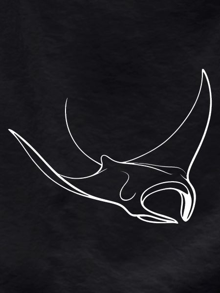 Linienstorch Kontur