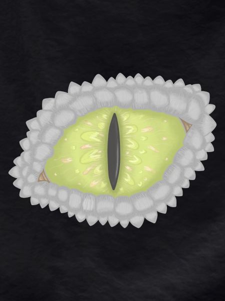 Drachenauge