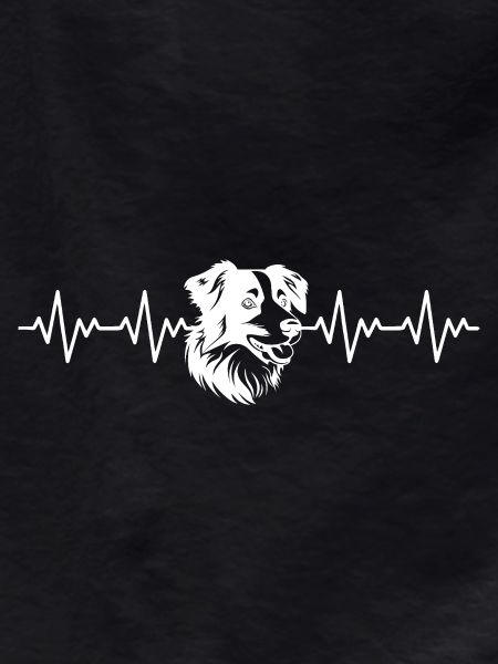 Border Collie ECG Heartbeat