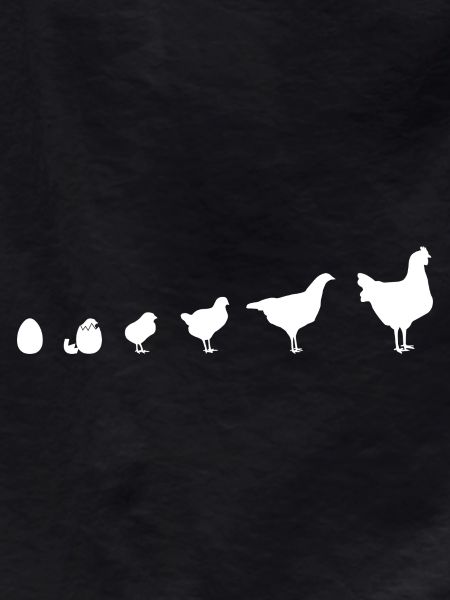 Snapshot Chick Family, Chicken, Evolution,