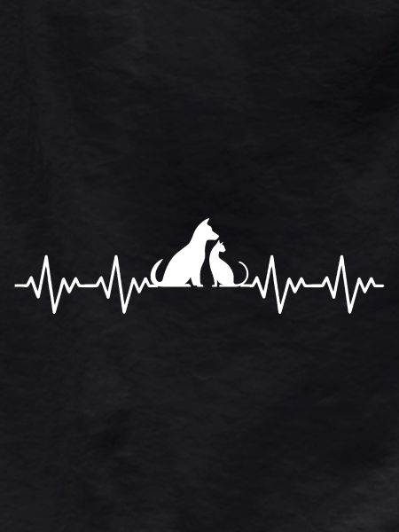 Cat and Dog ECG Heartbeat