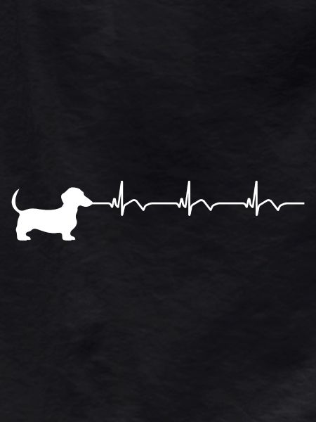 Dachshund ECG Heartbeat