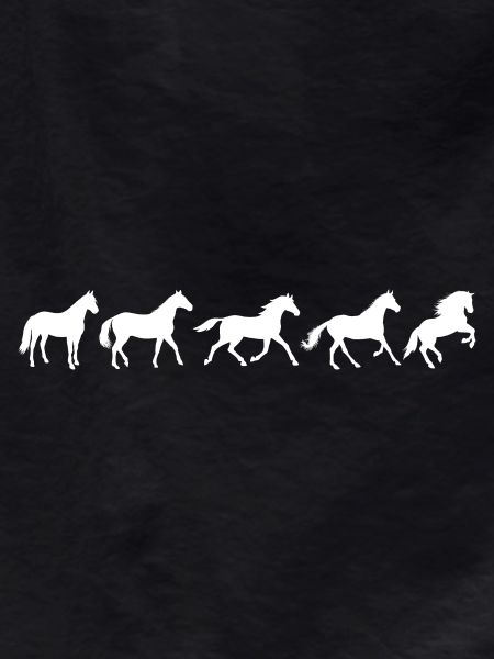 ! Evolution Pferd in Bewegung