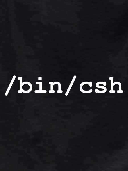 C shell - /bin/csh