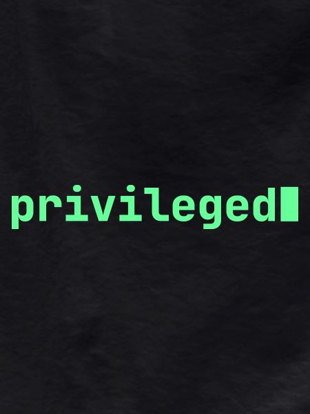 Feeling Privileged | Developer mood 