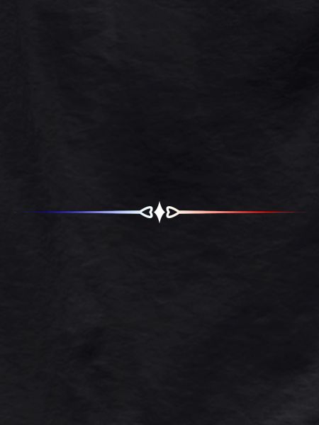 French flag