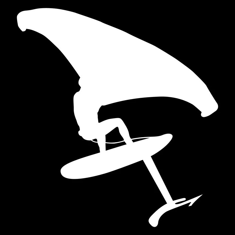 Dynamischer Wingsurfer auf dem Wasser