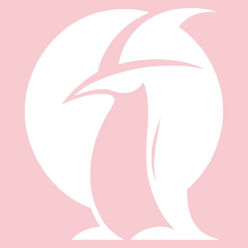Penguin Witch Hat Silhouette Magical Creatures