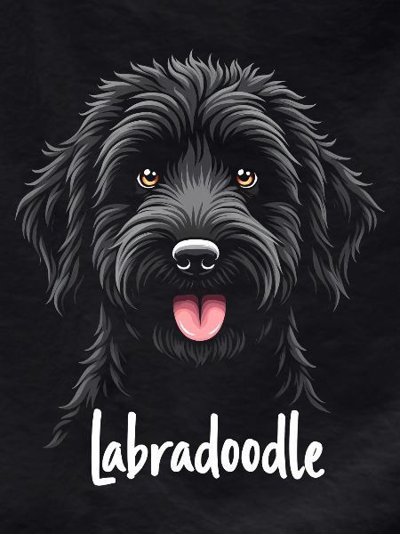 Labradoodle Friendship