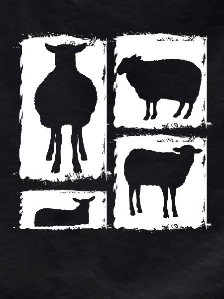 Shepherd Sheep