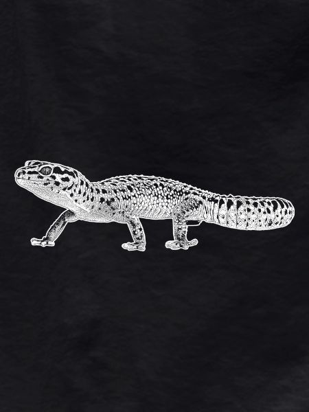 Leopardengecko