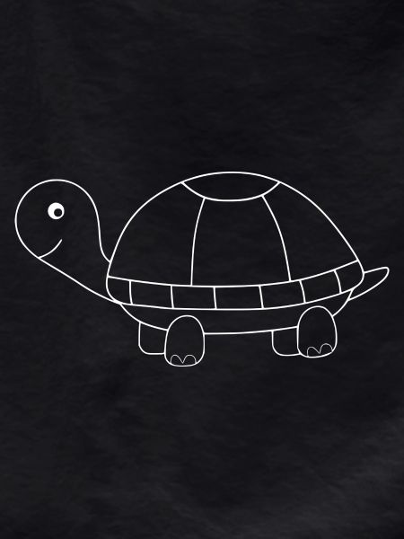 Turtle Turtles