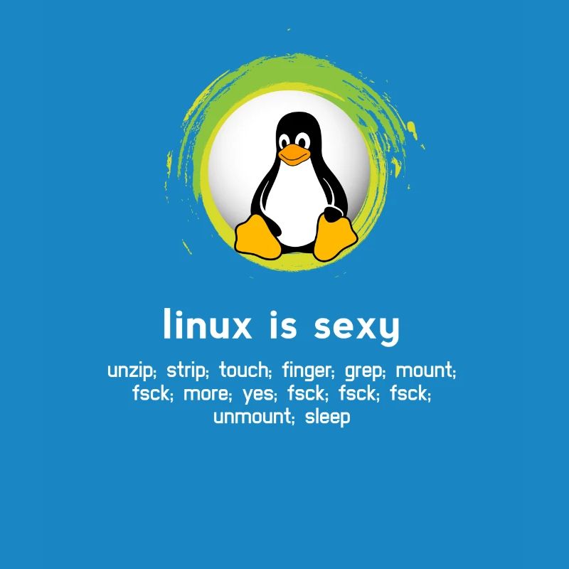Computer System Penguin Nerd pc inside code admin