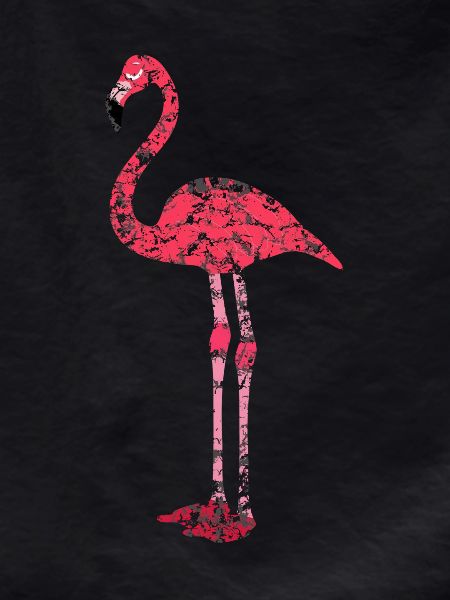 Flamant rose