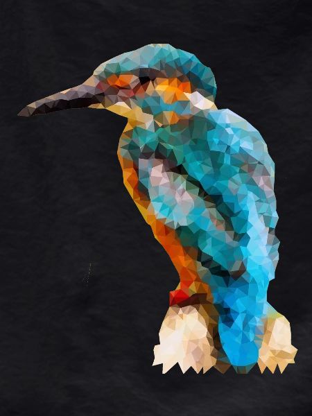 Kingfisher