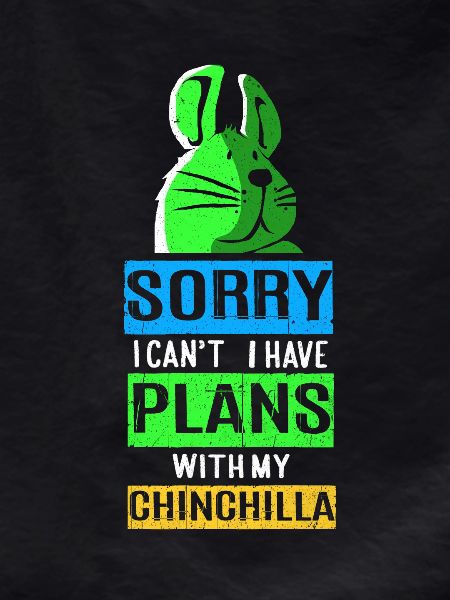 Chinchilla