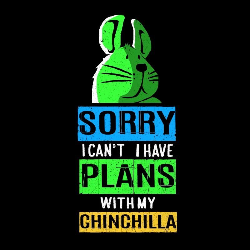 Chinchilla