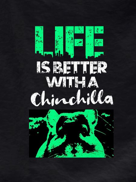 Chinchilla
