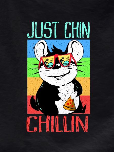 Chinchilla