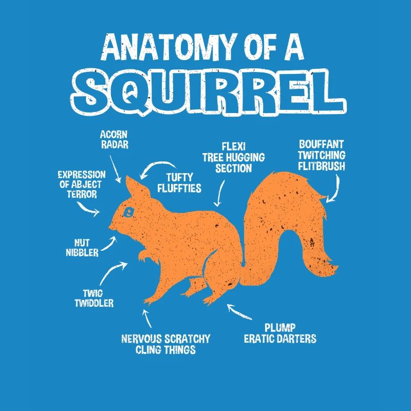 Squirrel