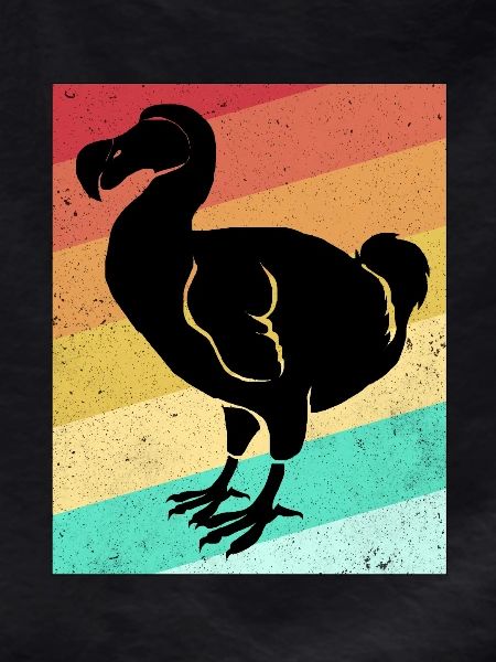 Dodo