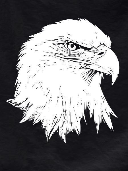 Eagle / Bald Eagle