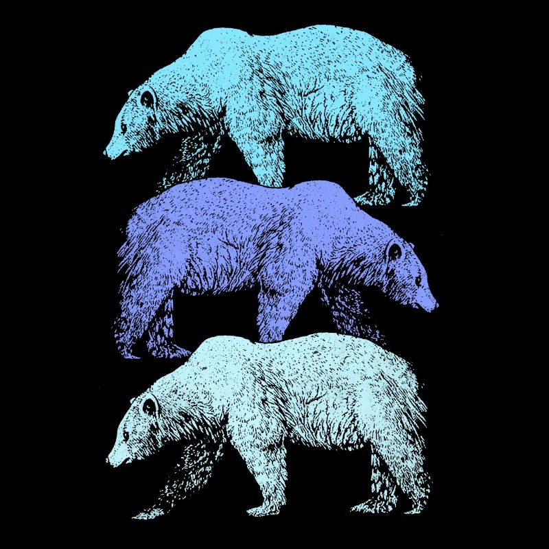 Ours polaire