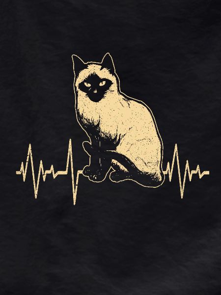 Siamese cat