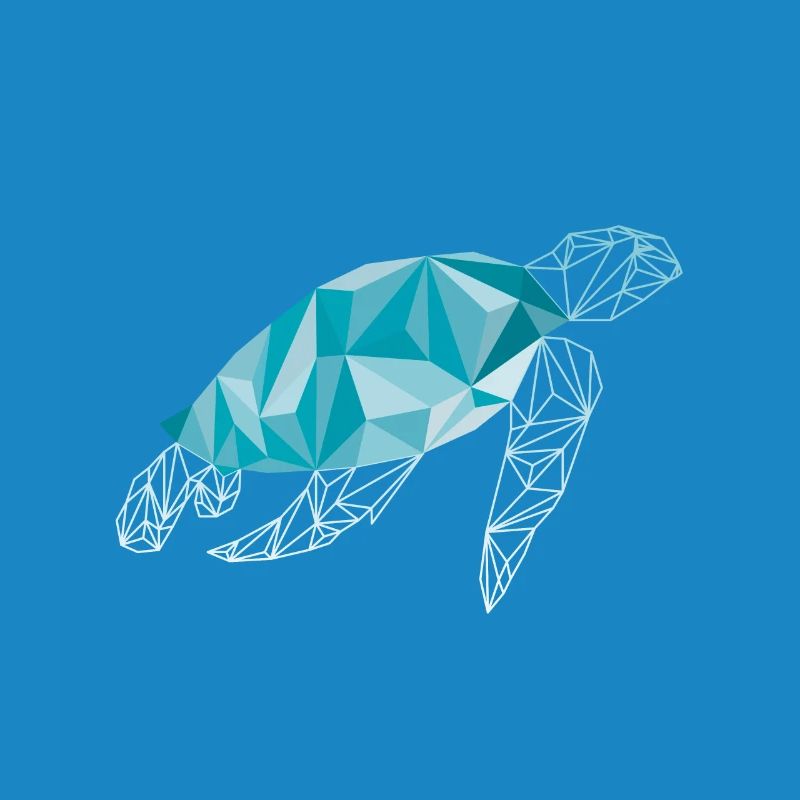 Turtle polygon