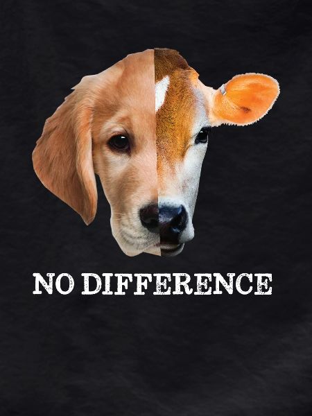No difference Vegan