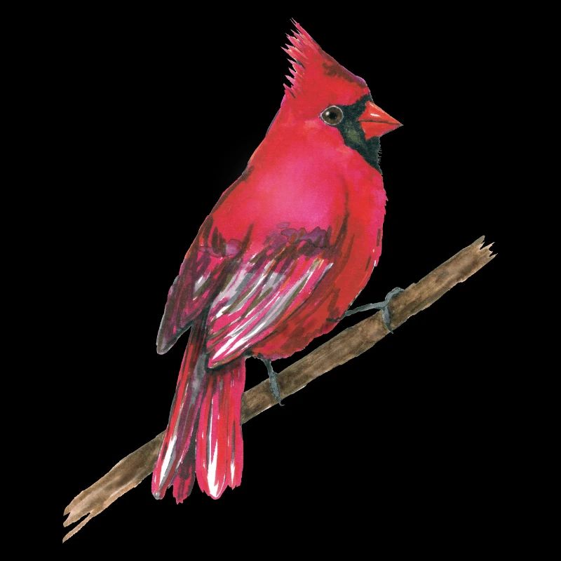 Cardinal rouge