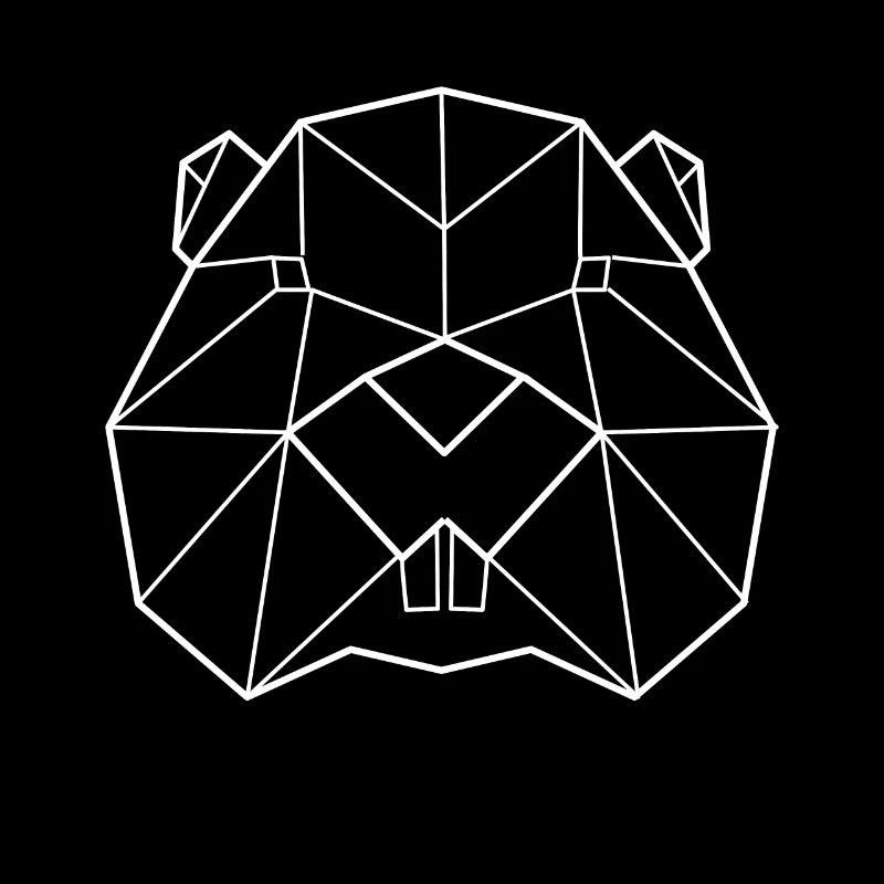 Biber Polygon