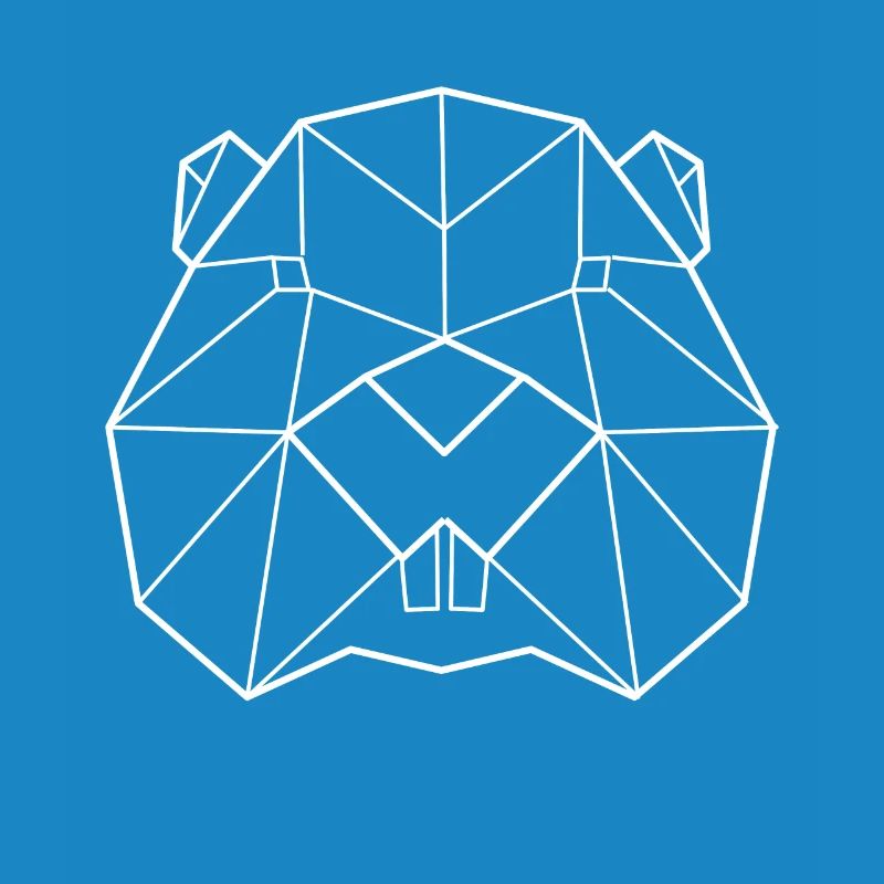 Biber Polygon