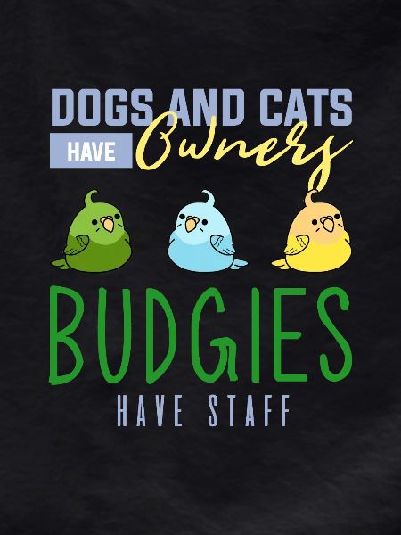 Budgerigar, budgie birds, parakeet