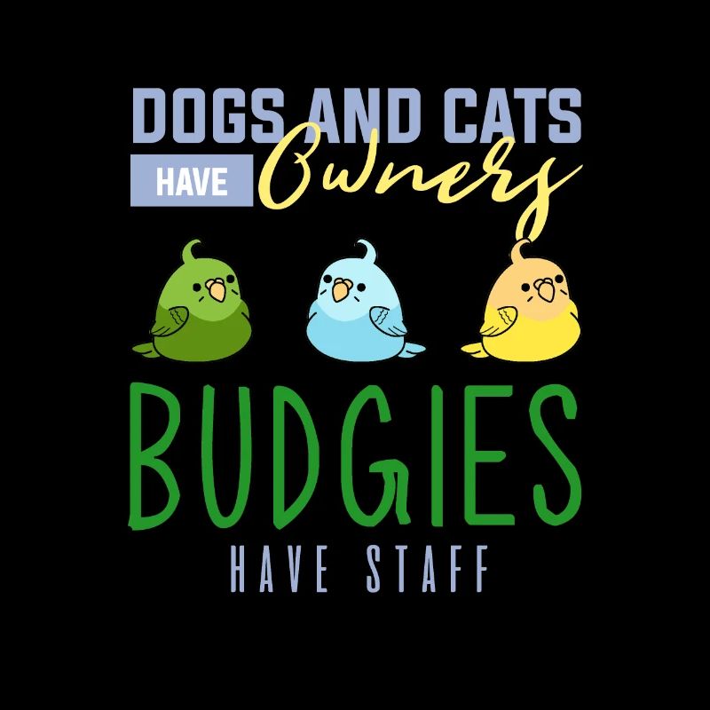 Budgerigar, budgie birds, parakeet