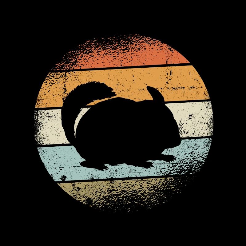 Chinchilla