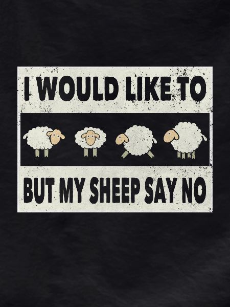 Sheep funny