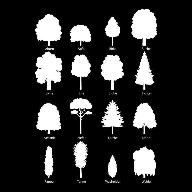 Trees Environment Forest Nature Gift